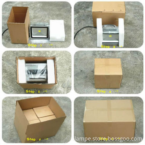 Shenzhen Lamp Best Selling 10W LED Floodlight with Sensor